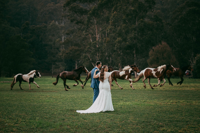 Glenworth Valley Wedding Venue Bride and Groom looking at horses